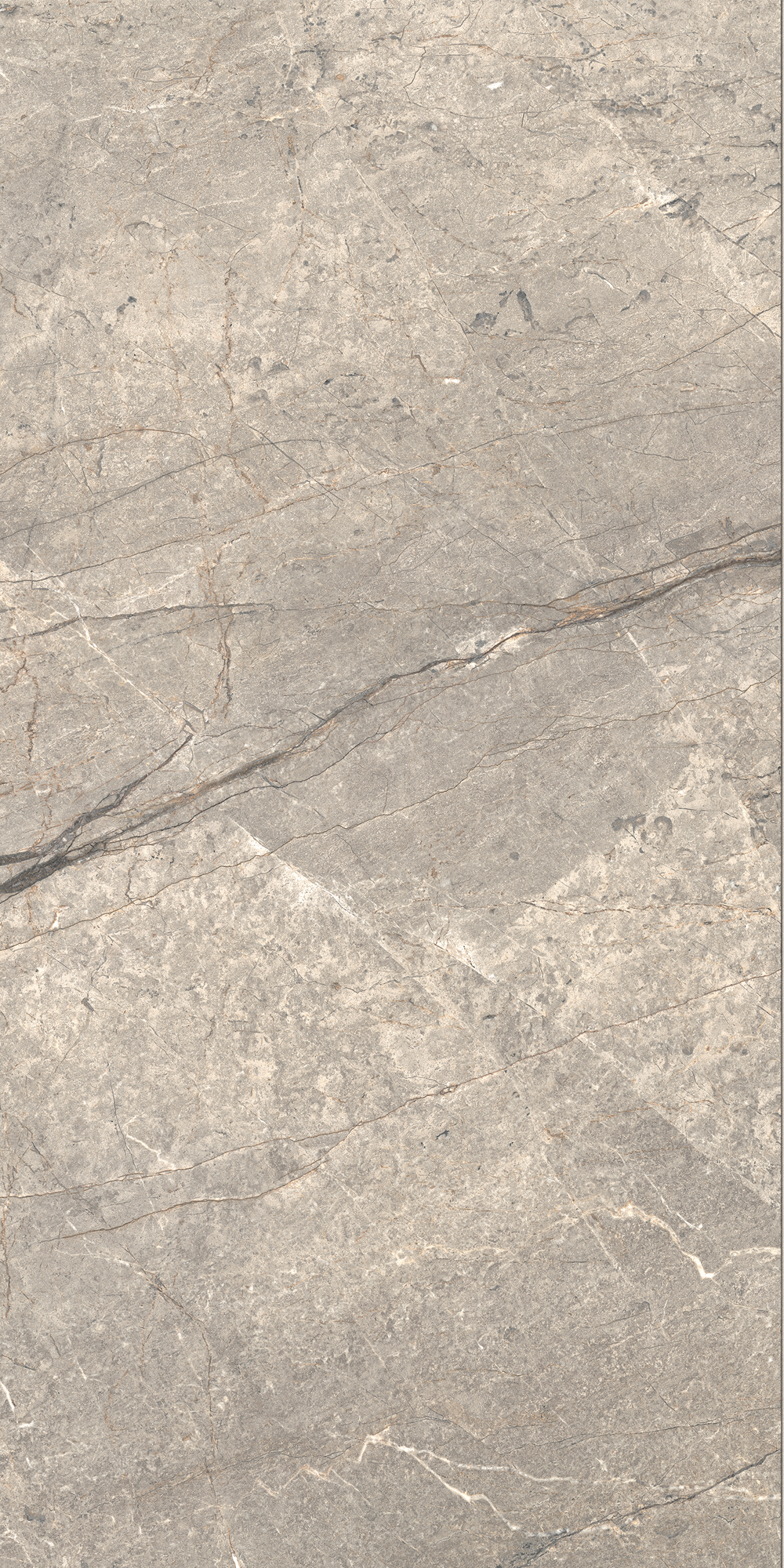 AIAV Amazing Silver Liscio Matt 60x120 Caesar фото 7