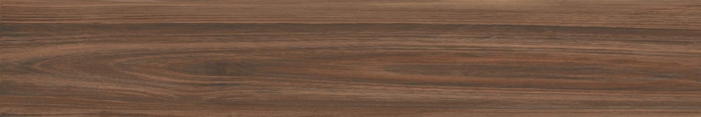 Boutonne Cognac Pulido R 20x120 Baldocer