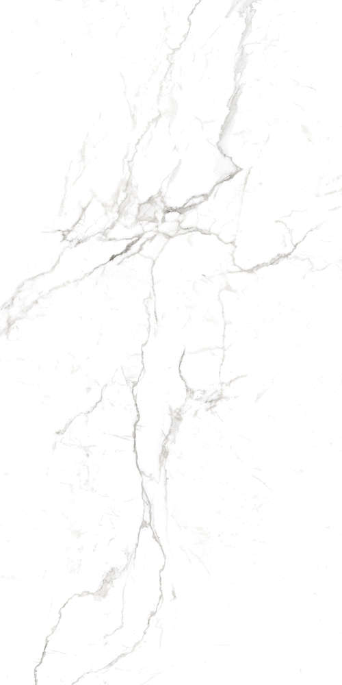 Regal Carrara White 80x160 SotGres