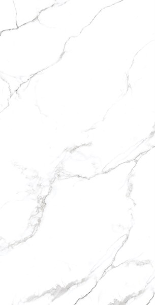 STATUARIO GRIS Glossy 60x120 One Touch