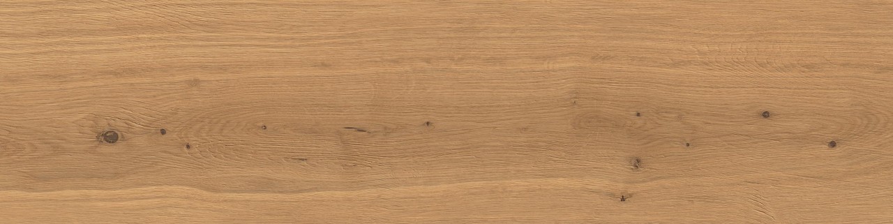 AX4C Log Amber Oak Forest Outdoor 20mm 30x120 Atlas Concorde
