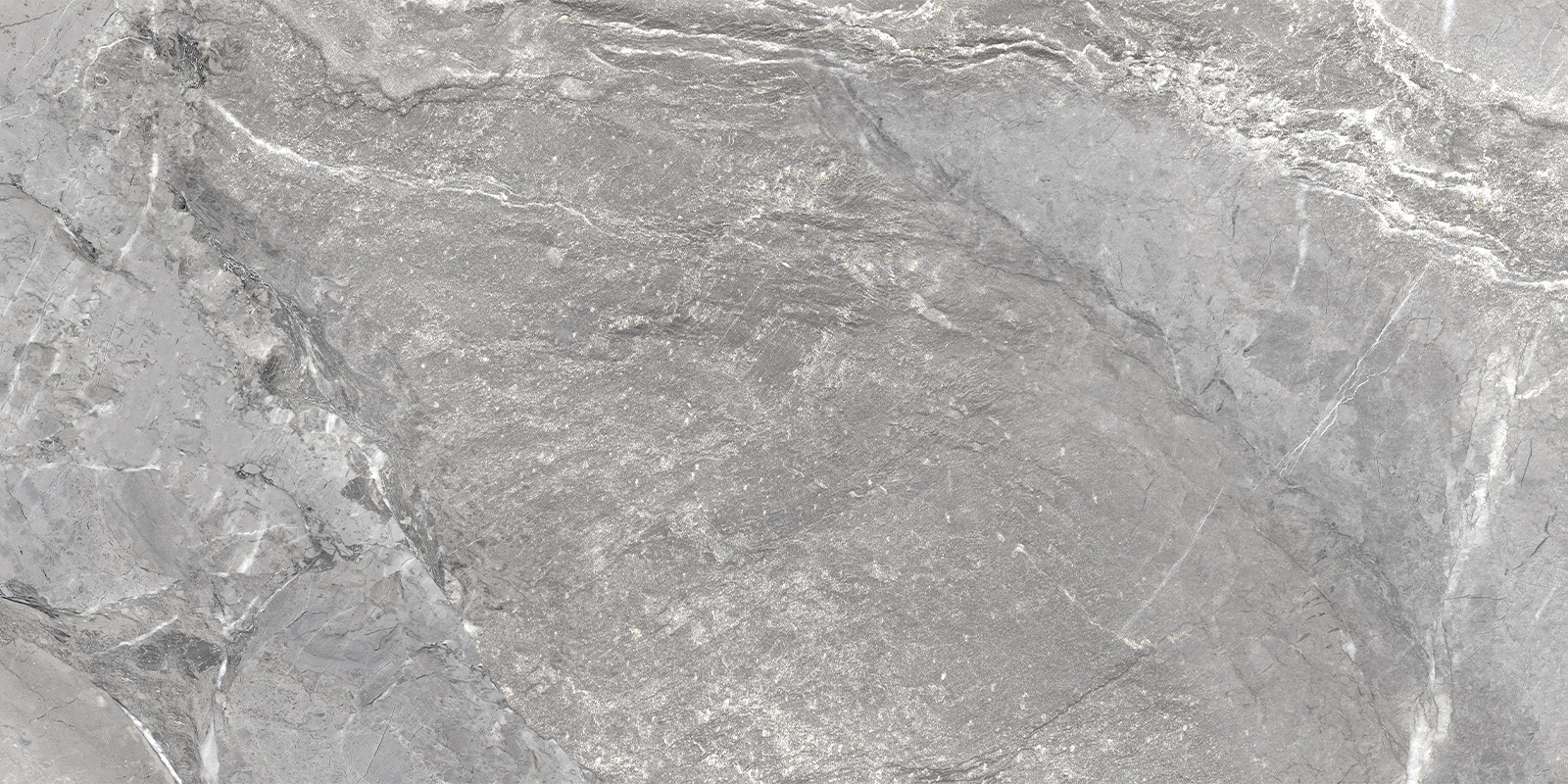 D120260M Wild Dark матовый 600x1200x9.5 New Trend