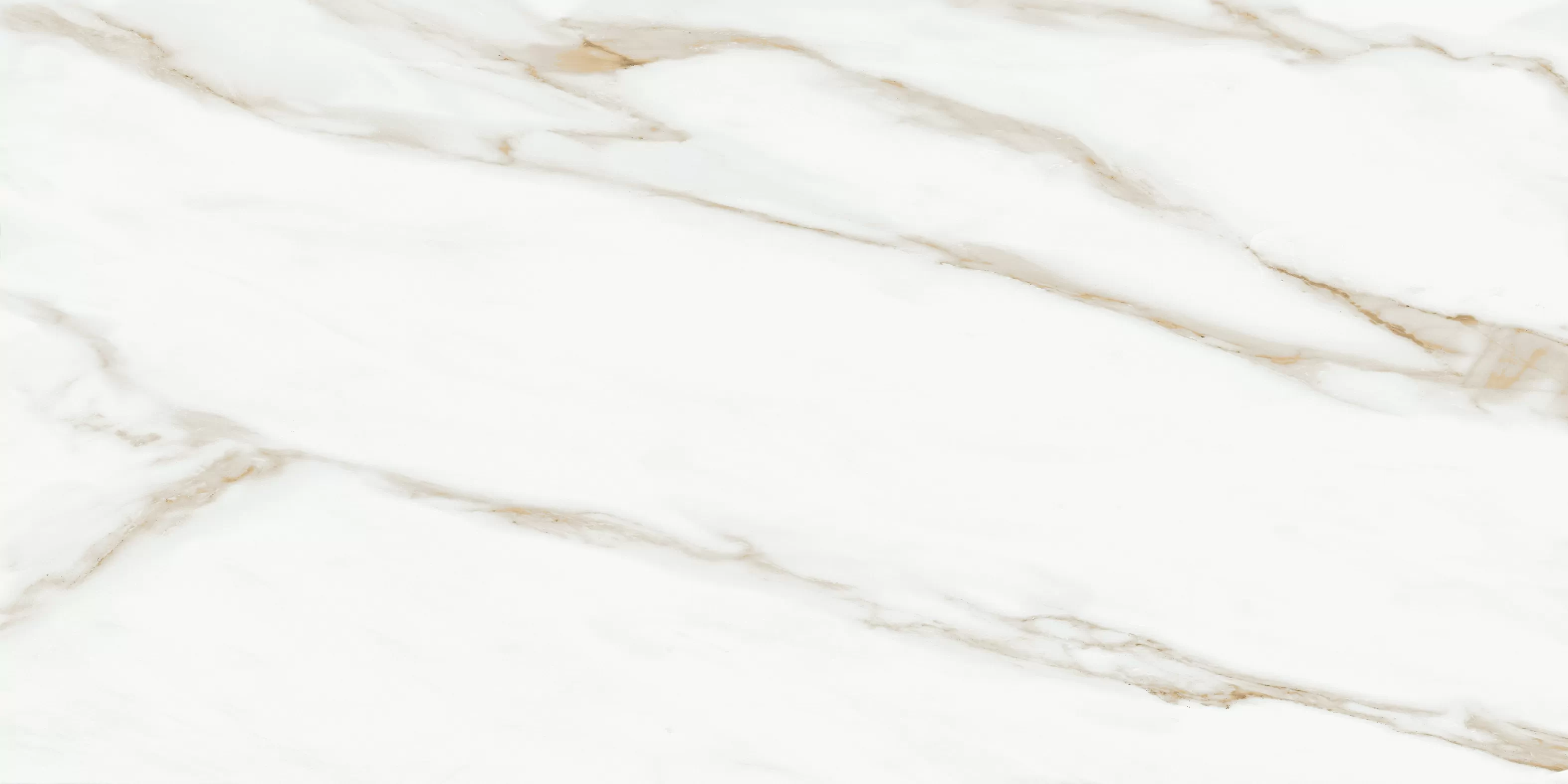 Oriental White 60x120 Bluezone