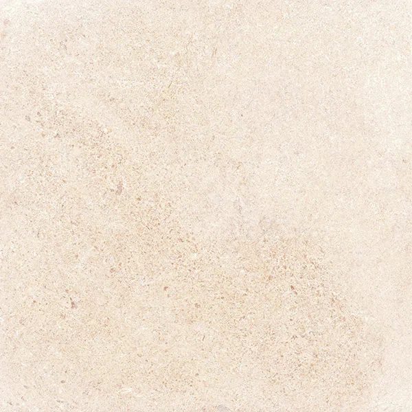 G302PR Shunut Beige 60x60 Гранитея фото 9