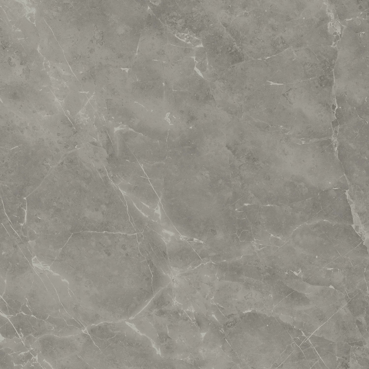 A205 Marvel Grey Fleury 120x120 Atlas Concorde