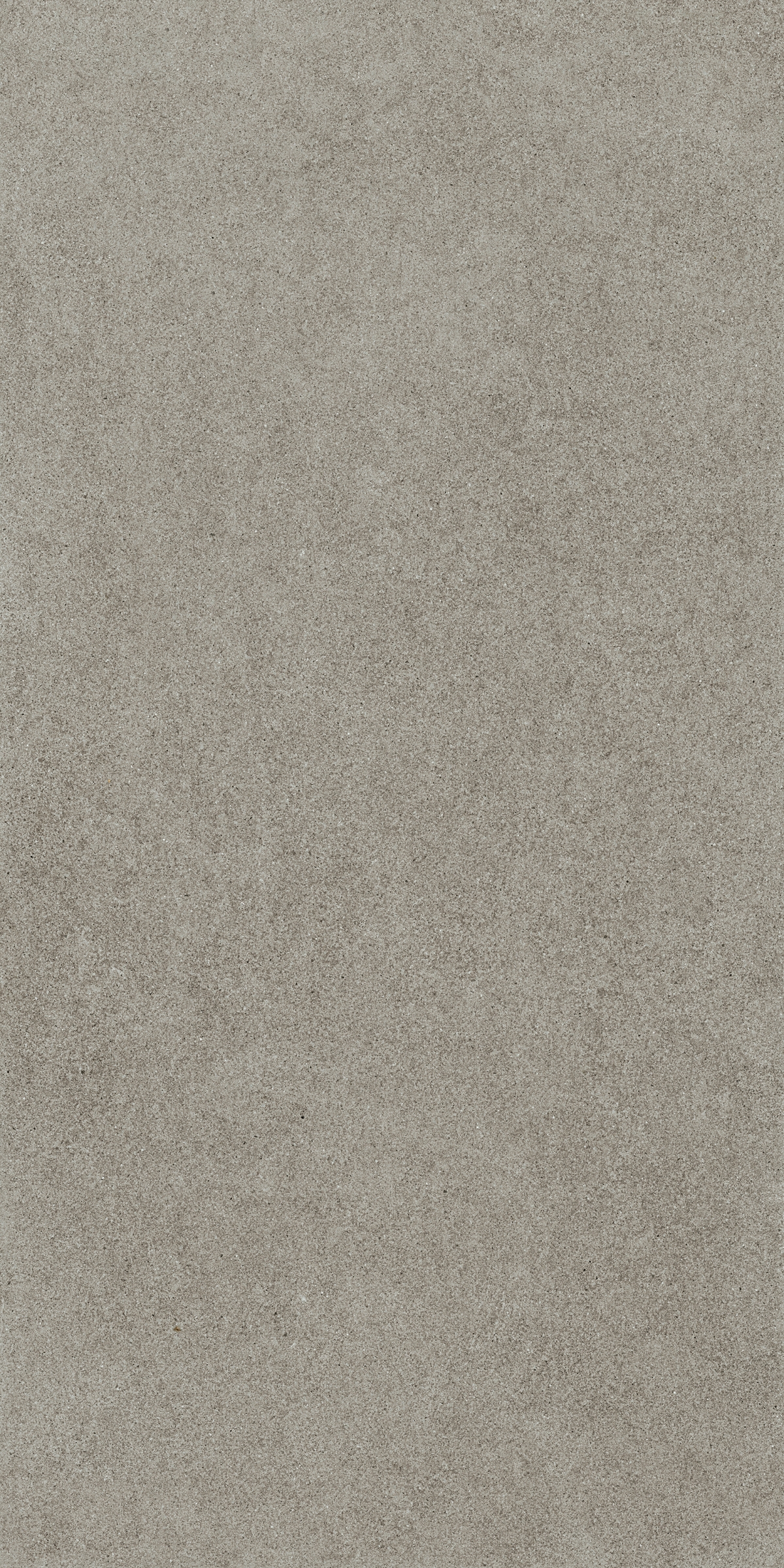 610010004079 Cosmos Grey Nat Ret 60x120 Italon