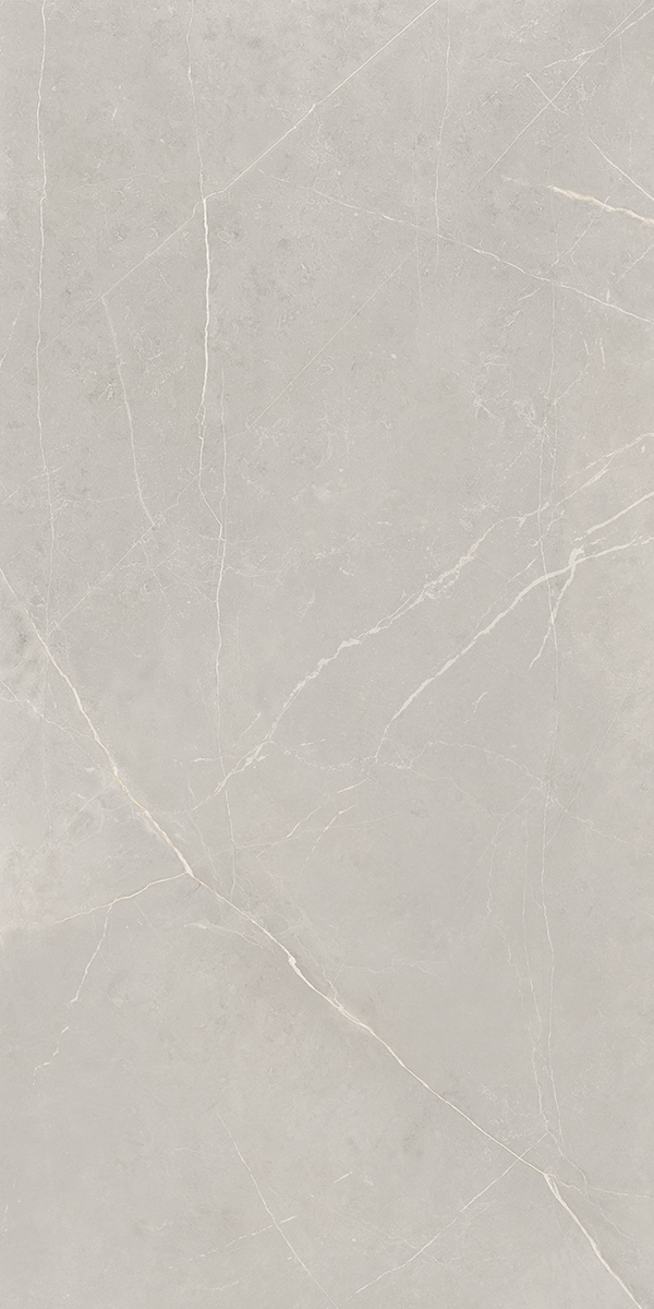 NL02 Nolana Light Grey Неполированный Рект. 60x120x9 Estima фото 4