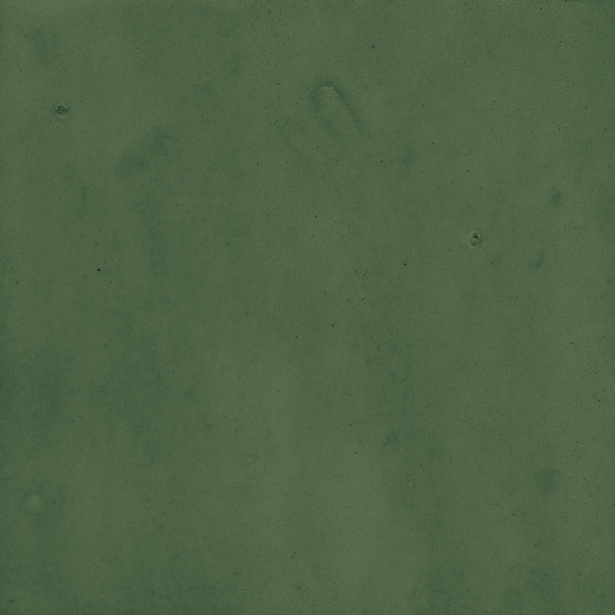 43289 Samira Green 10x10 Harmony фото 29