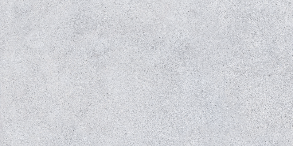 NR207 Maderas Light Grey 60x120 PrimaVera