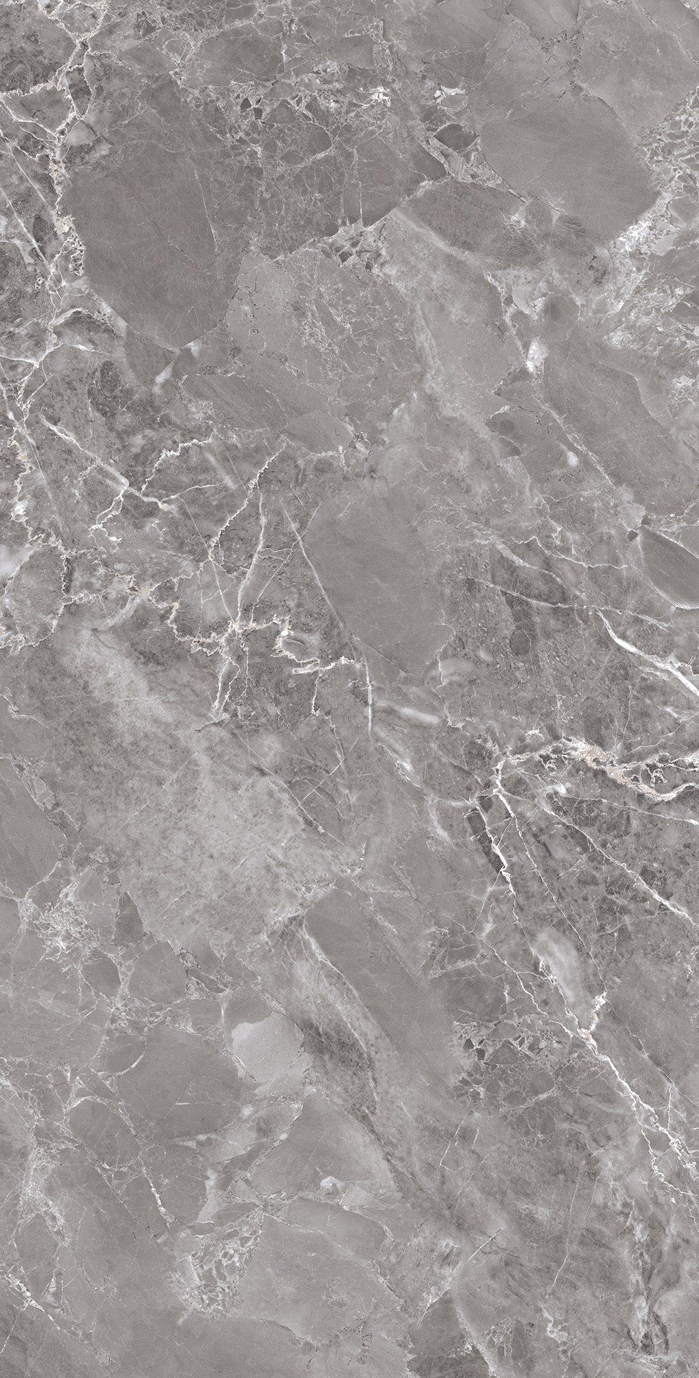 FP1033-A Modena Grey Full Polished 60x120 Arcadia Ceramica