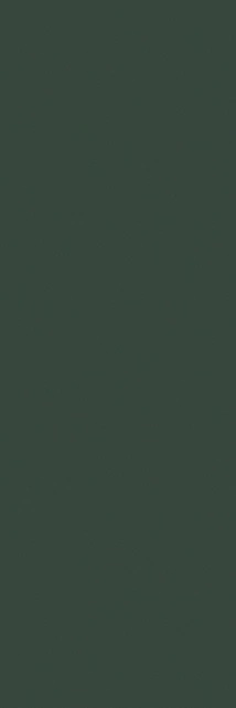 767747 Crayons Moss Nat Ret 6mm 40x120 Cerim