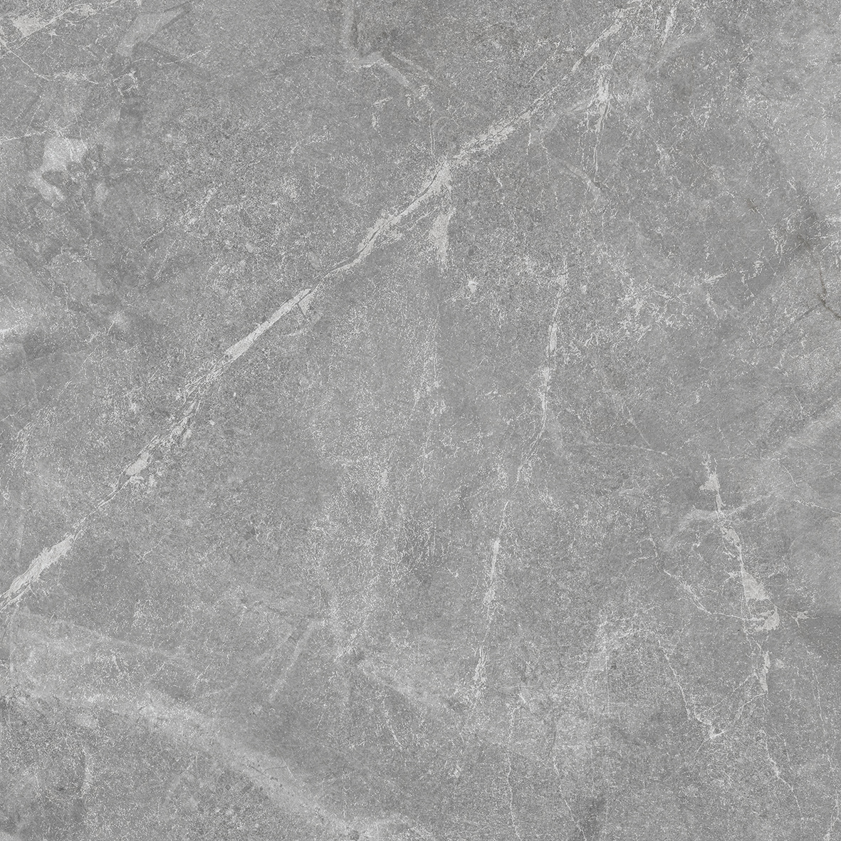 Rocky Grey PRO серый матовый R10GR STR 80х80 Laparet
