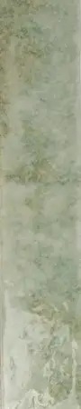 133176 Potters Agave 5x25 WOW
