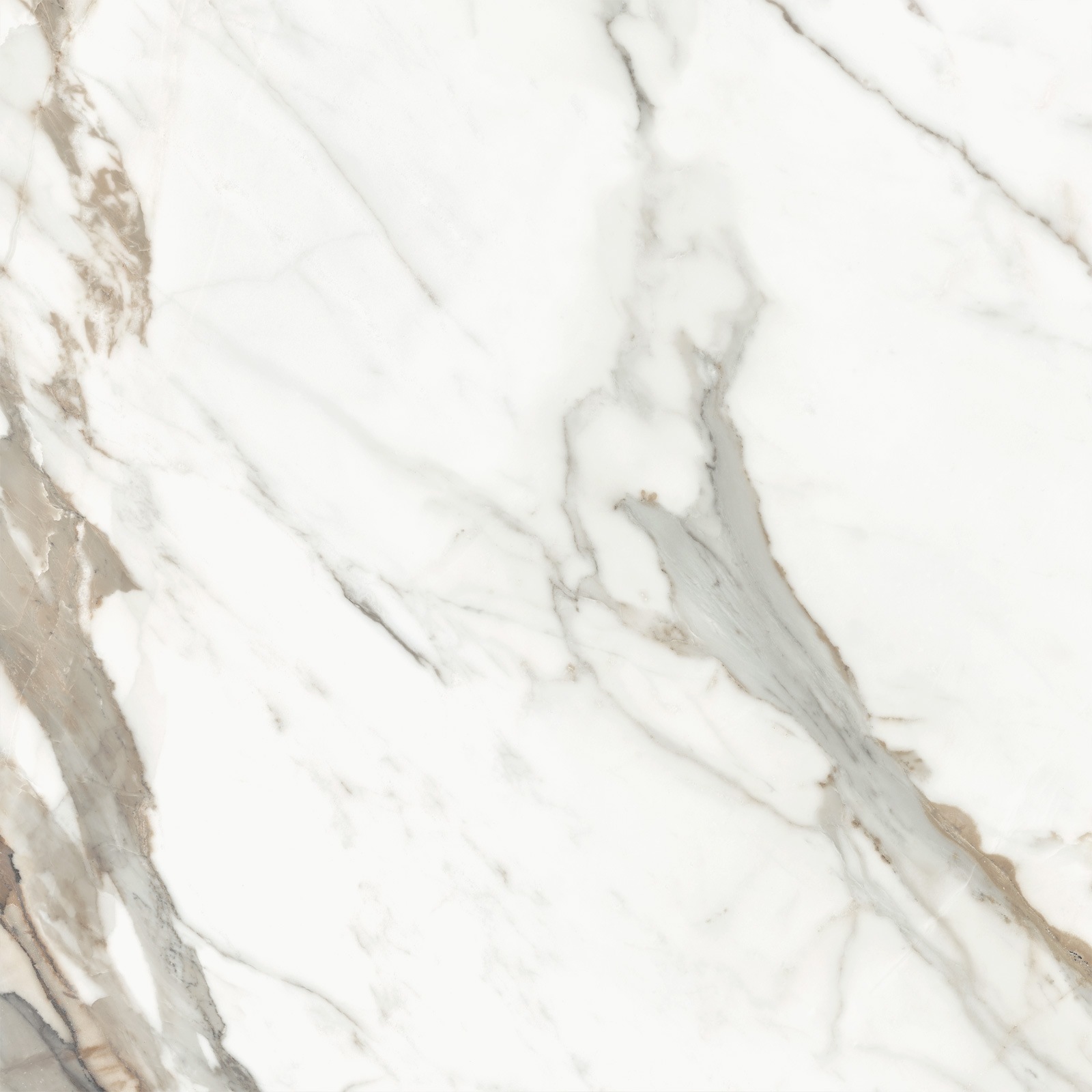 D60209M Calacatta Premium карвинг 600x600x9.5 Delacora