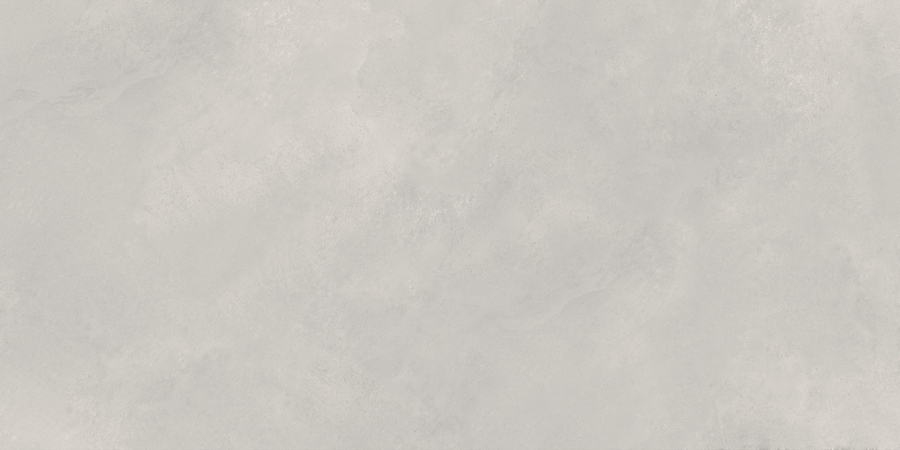 N20478 Newport Gris Matt 60x120 Neodom