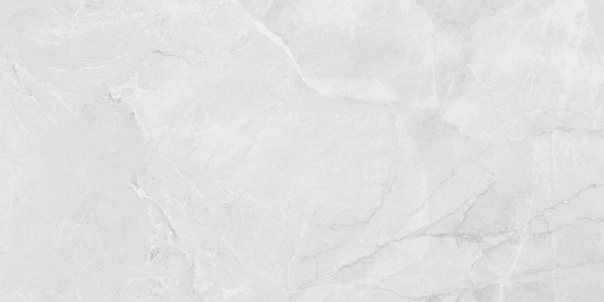 LP6012G0231R Berna Silver светло-серый матовый 59,5х119,1 Laparet