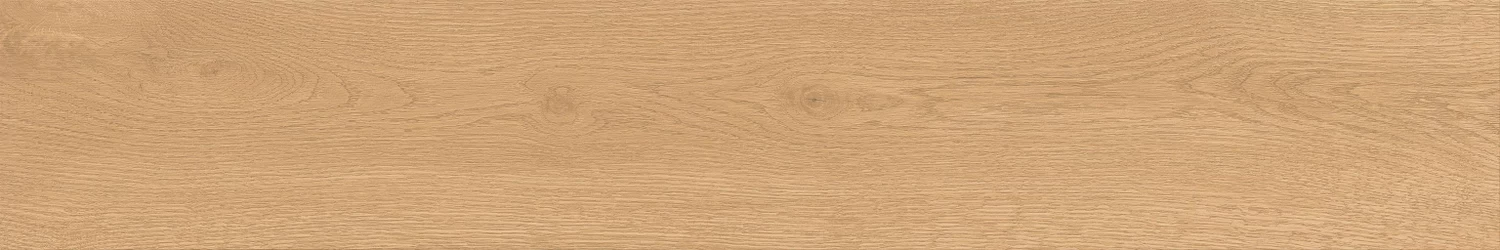 A842 Entice Pale Oak Natural Grip R11 20x120 Atlas Concorde