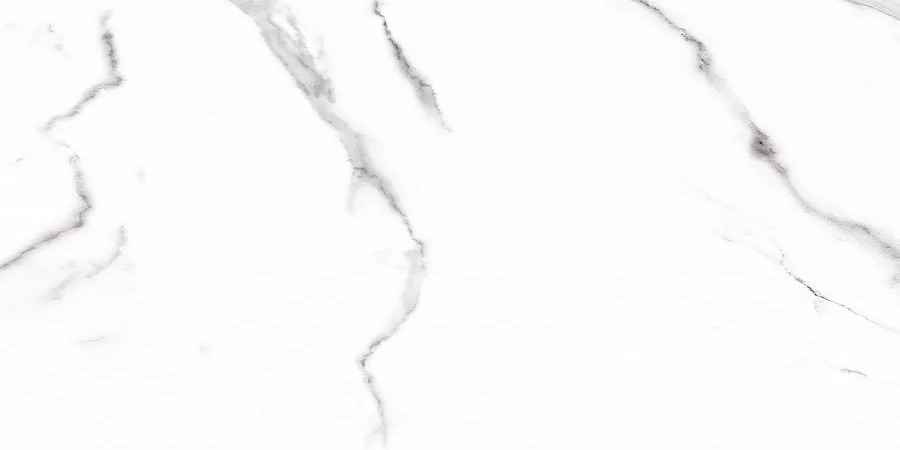 Carrara Rect матовая 60x120 Prime Ceramics