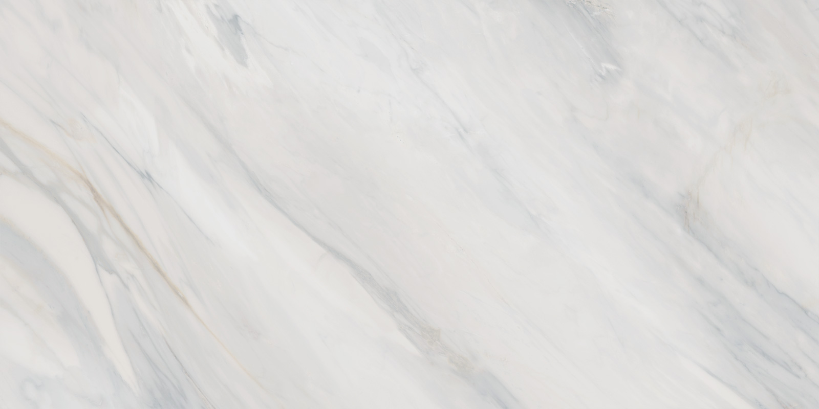 60120CAA03 Carolina Pearl Sugar 600x1200x9.5 Delacora