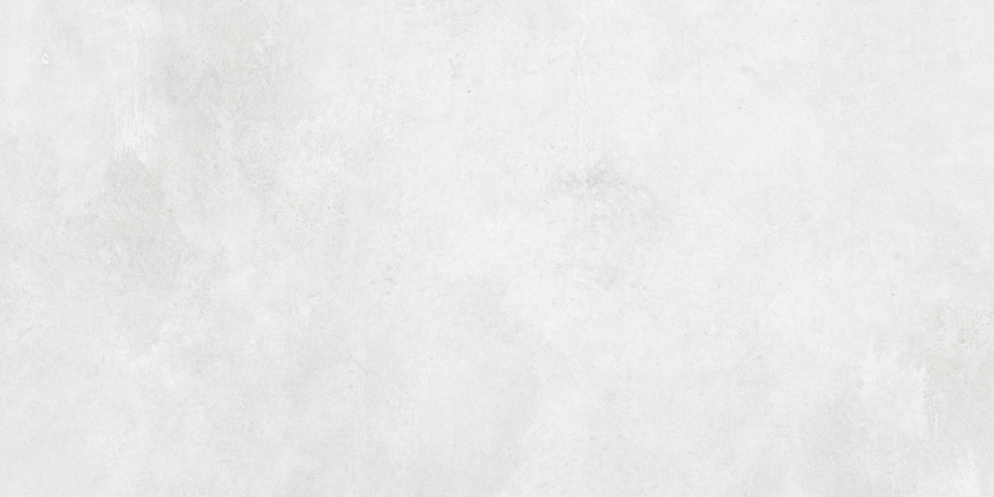 N12610 Concrete White Matt 60x120 Neodom