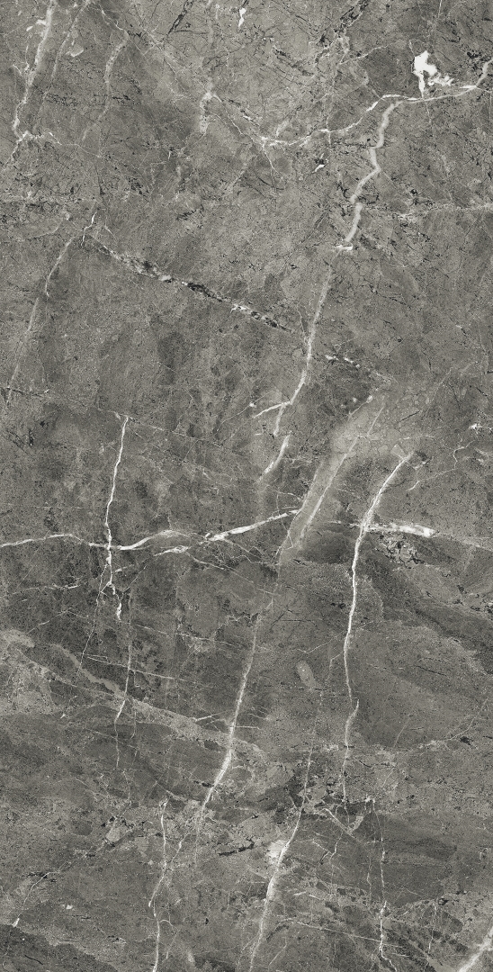 FP1028-A Florencia Grey Full Polished 60x120 Arcadia Ceramica