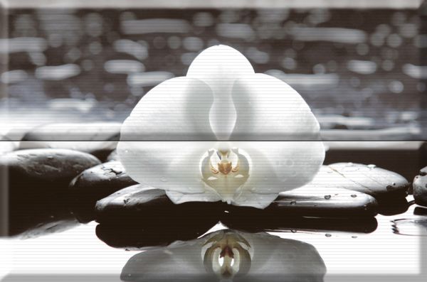 Composicion Wellness 01 White 30x45 (комплект 2шт) Absolut Keramika