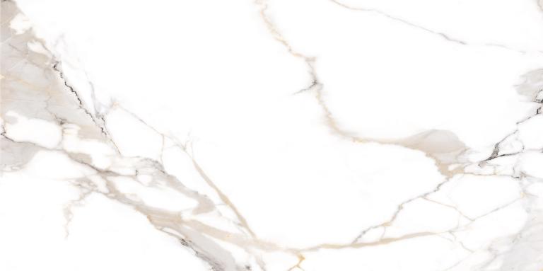 NTT9121P Calacatta Light Grey 60x120 NT Ceramic