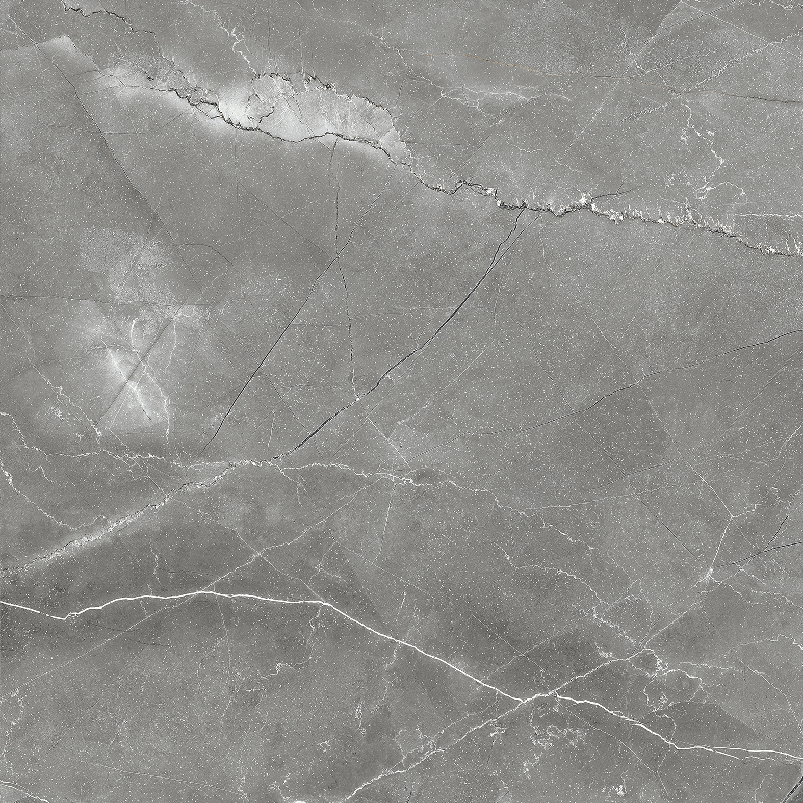 CR6011-A Pulpis Nero Carving 60x60 Arcadia Ceramica фото 5