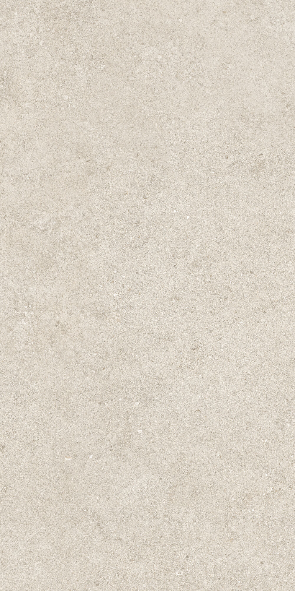 36902 Cluny Beige 4D/50X100X2/A/R 50x100 Peronda фото 20