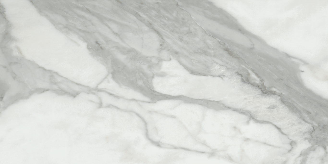 Invictus Natural Rectificado 60x120 Baldocer