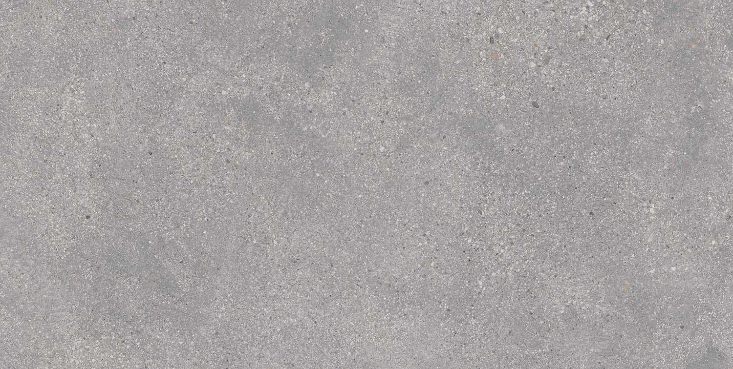 Memory Gris Matt 60x120 Geotiles