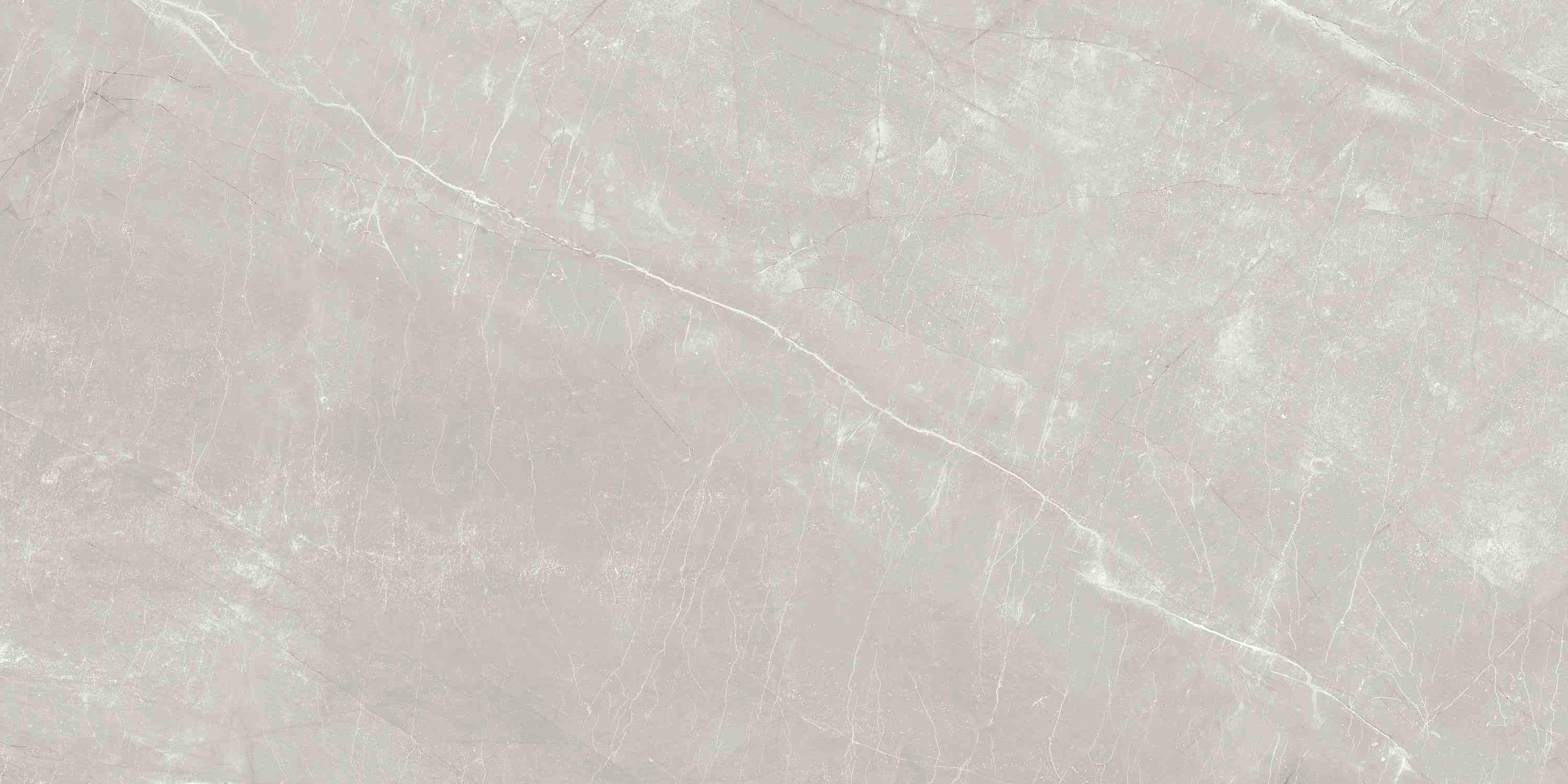 ENSTN7004MT60120 Alaska Grey Matt 60x120 Ennface фото 11