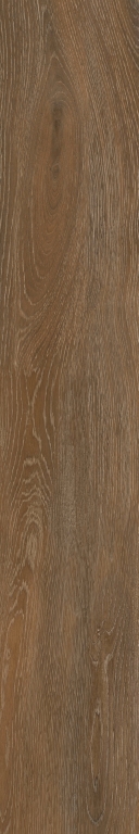 FR05 Forest Ocher неполированный 19,4х120 Creto