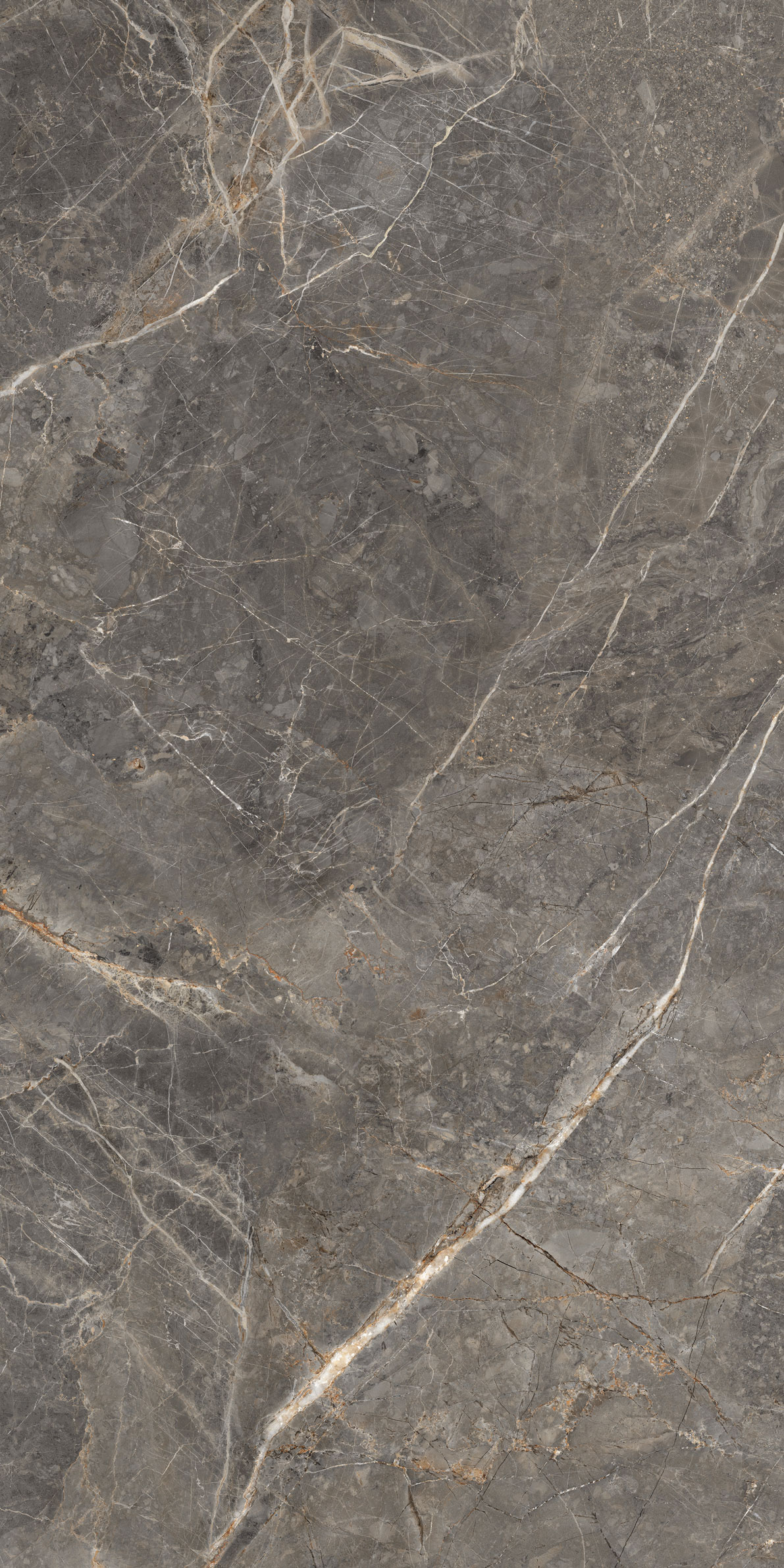 GT1206023109MGR Salsa Темно-серый 60x120 Global Tile фото 2