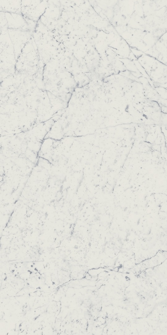 610010001194 Charme Extra Carrara Nat Ret 60x120 Italon