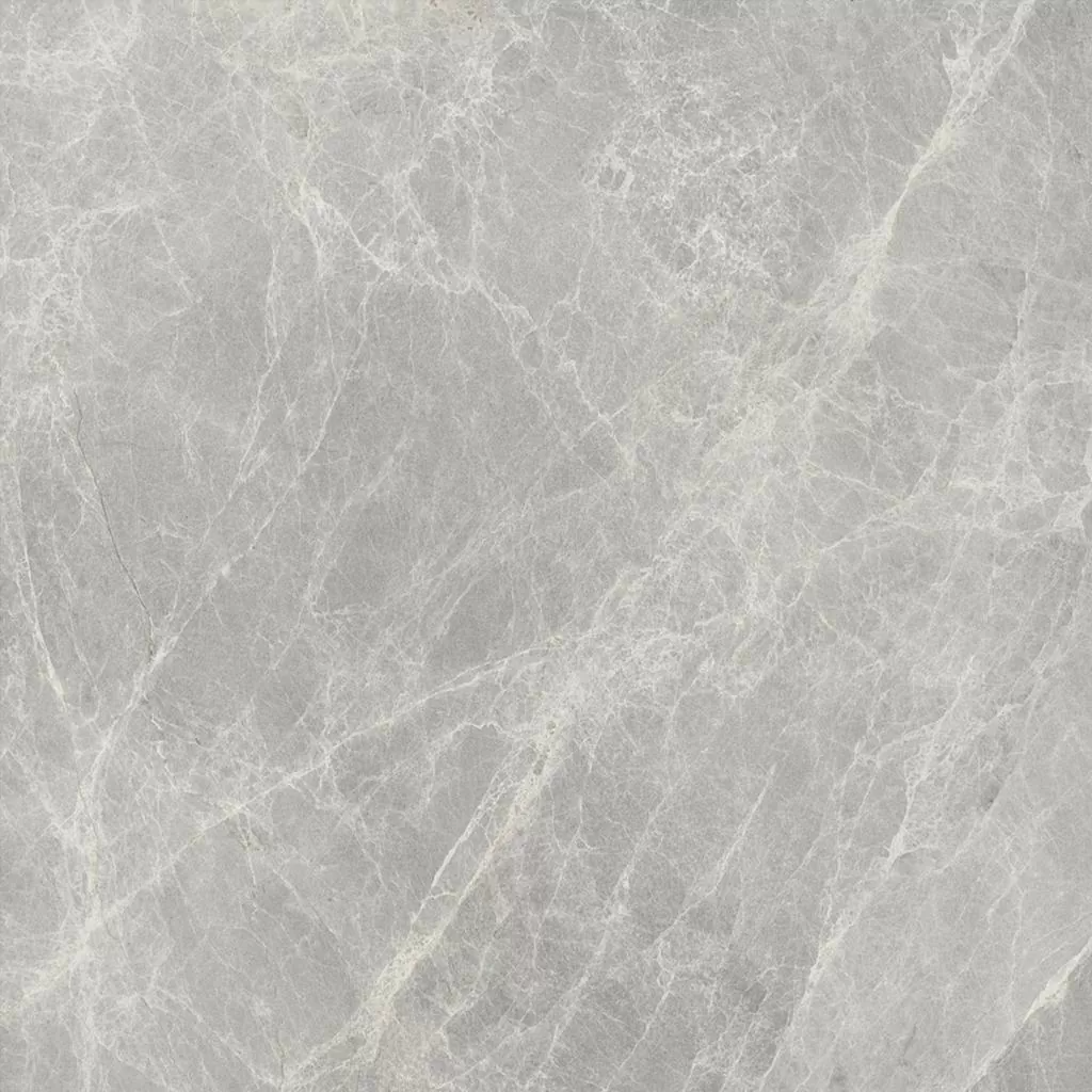 Worner Grey sugar lapp. 60x60 Bluezone фото 14