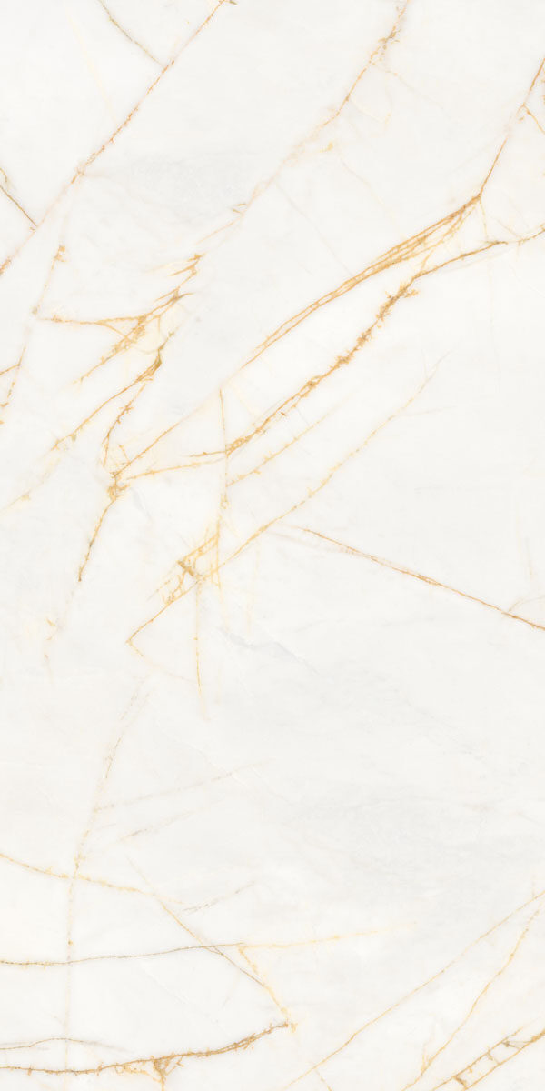 PF60017518 Supreme Hedonism Golden Spider Nat R 60x120 Flaviker