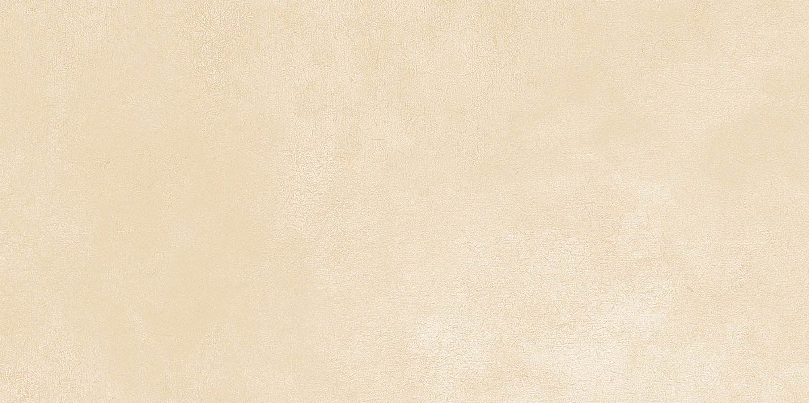 WT9PET11 Petra Beige 24.9х50 AltaCera