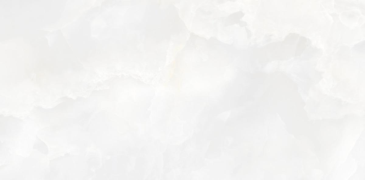 N130006 Invictus White Polished 60x120 Neodom фото 4