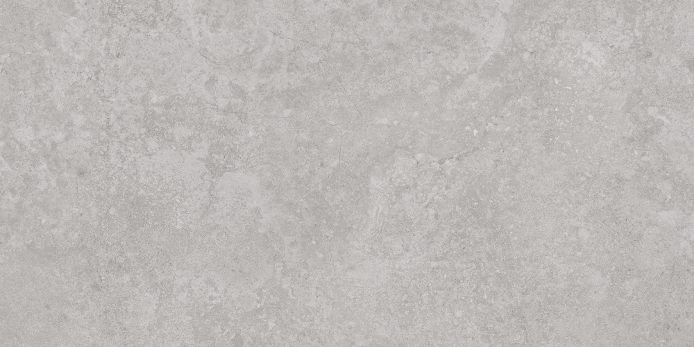 AVS-107 Antica Silver Lappato 600x1200 AVS фото 5