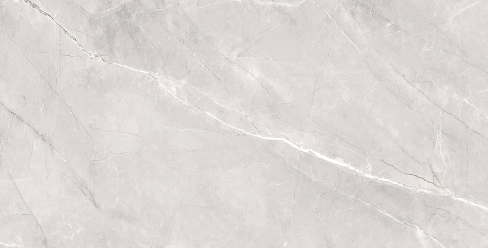 Silk Armani Silver Matt 60x120 Staro