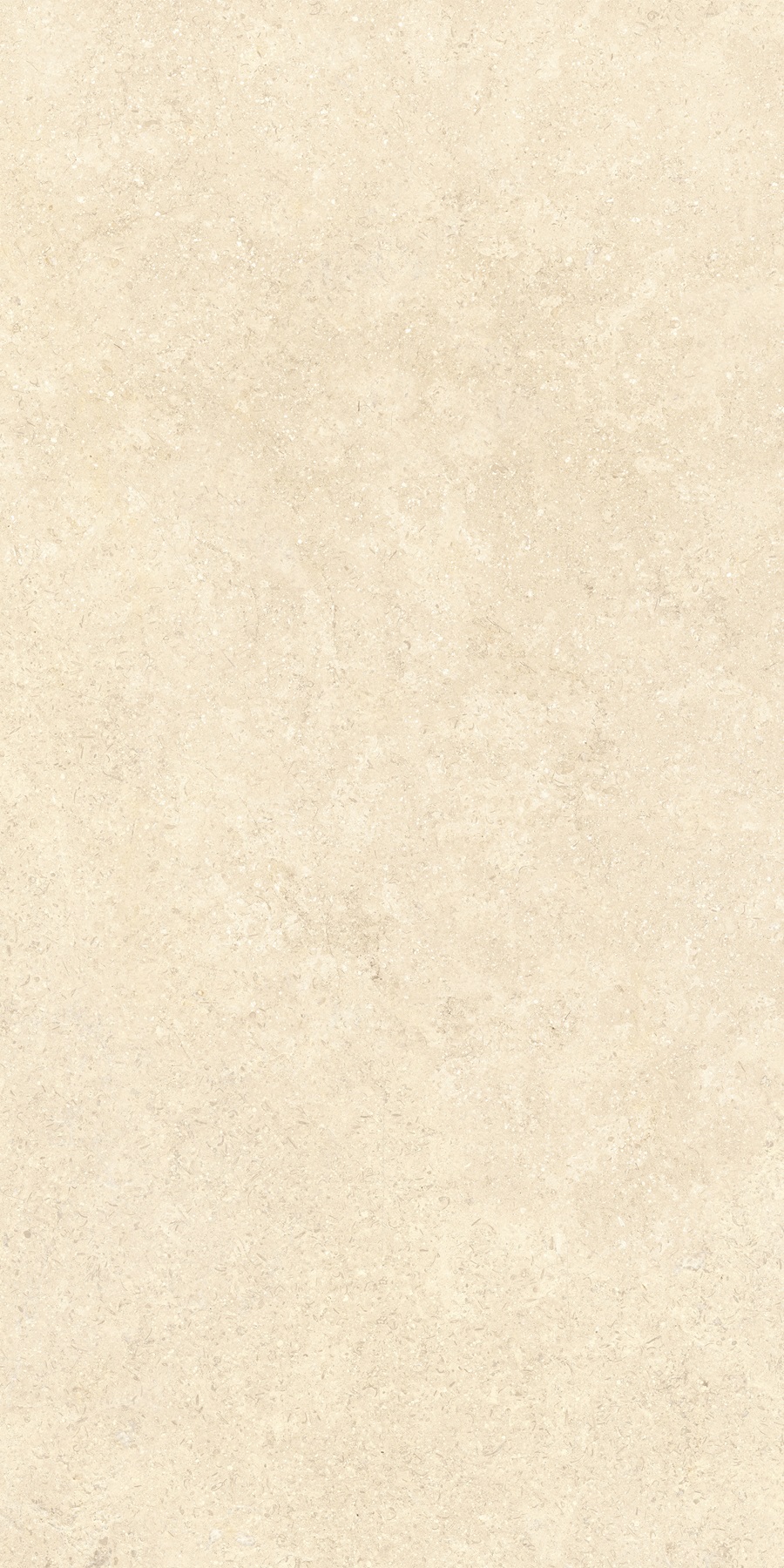 K948598R0001VTER SandStone Песочный Матовый R10A Ректификат 60х120 Vitra