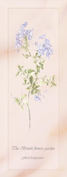 150344 Ньюкасл Декор 1 15x40 PiezaROSA