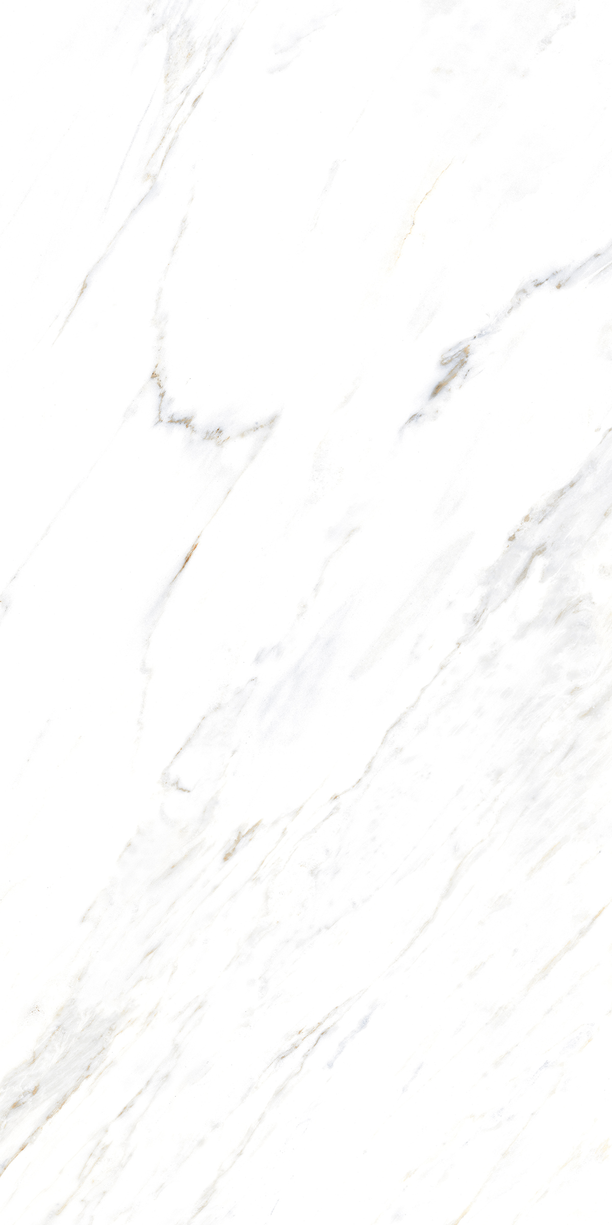 885 Calacatta Caldia 120x60 Artcer