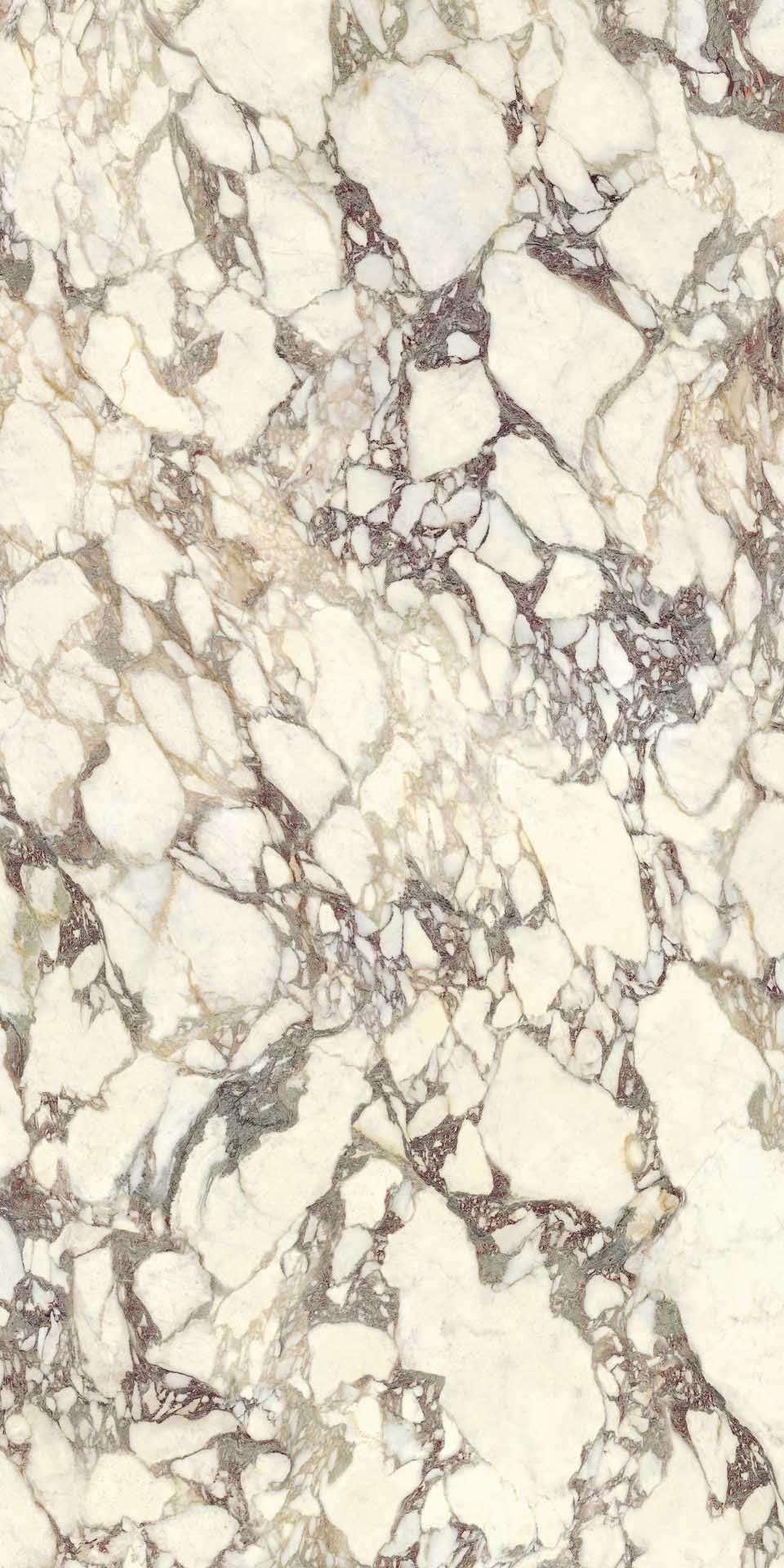 L315551MF6 Breccia Medicea Lucido 150x300 IRIS FMG