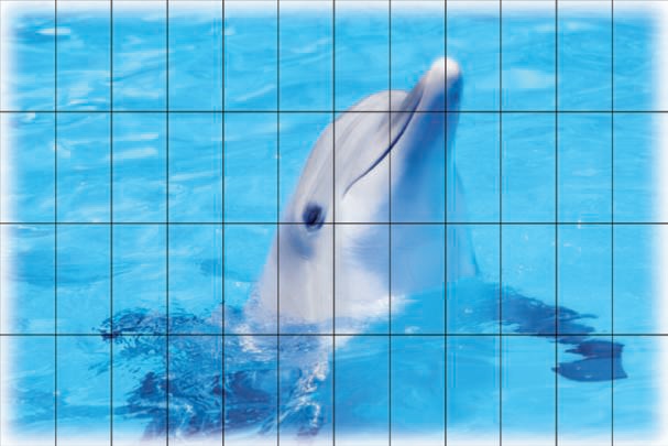 FS014 Fotosera F08 12,5х25 (150x100) Serapool