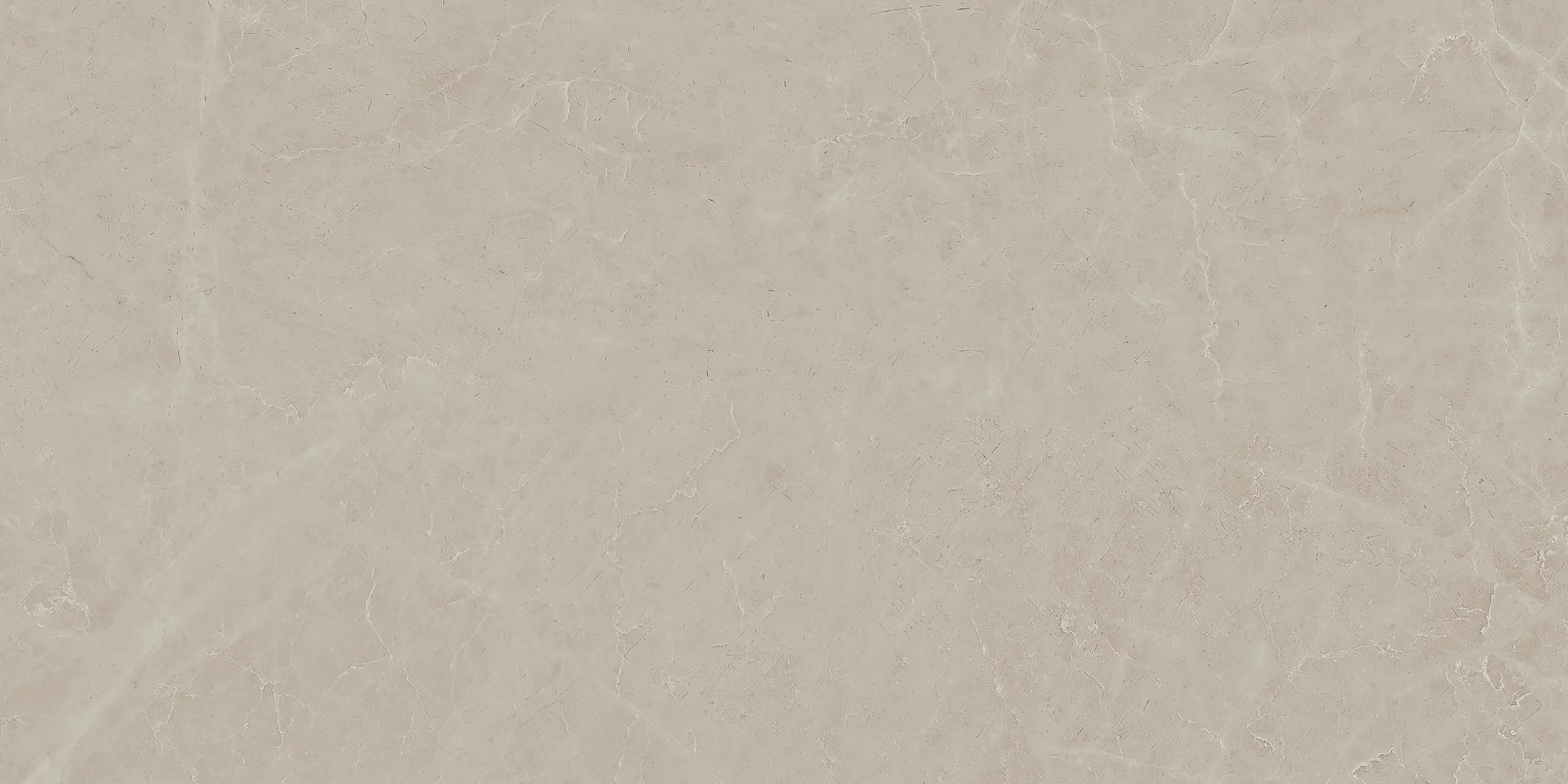 MOG202 Marble Grey полированный 60x120x9 Onlygres
