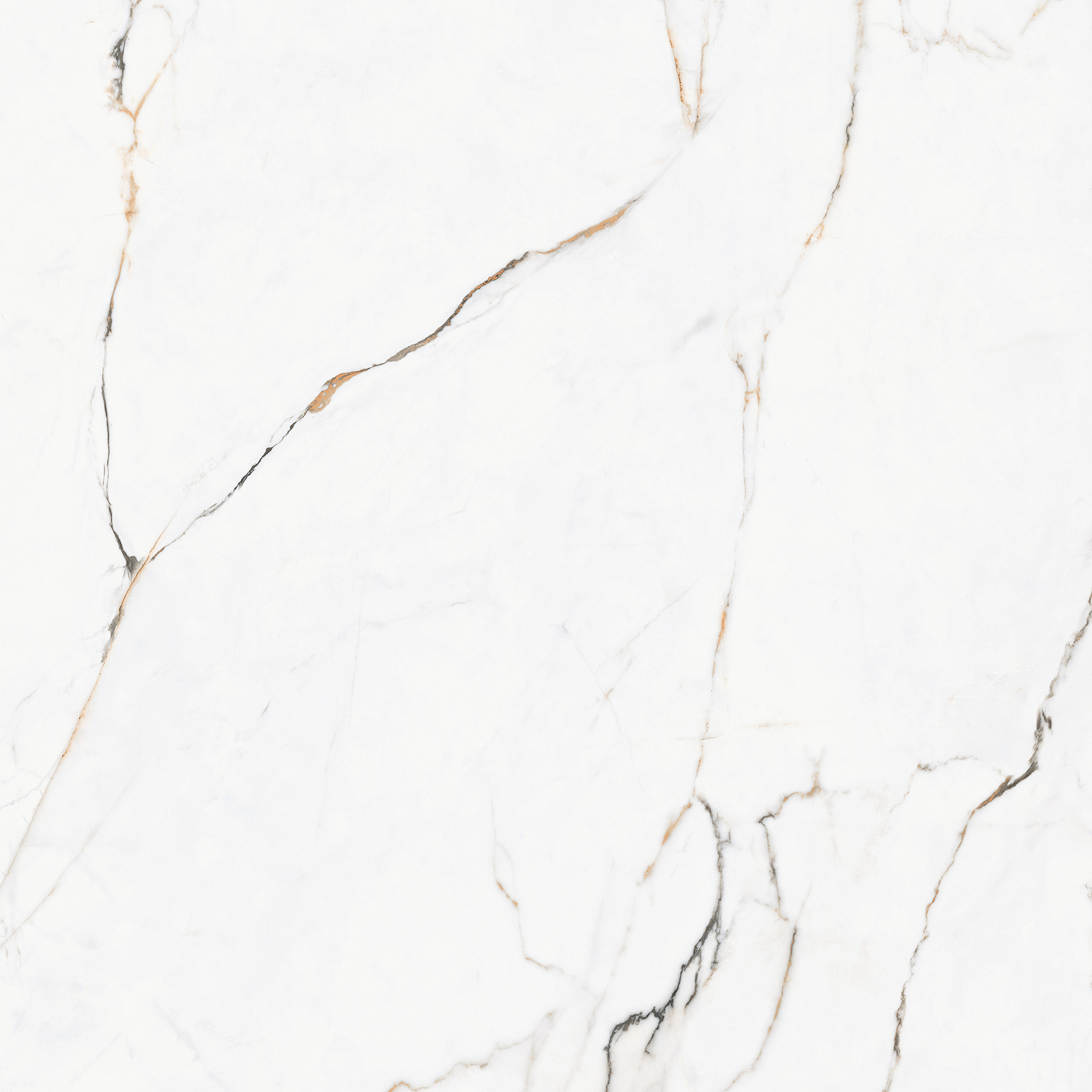 Torano Dorado Polished Rec 60x60 Pamesa