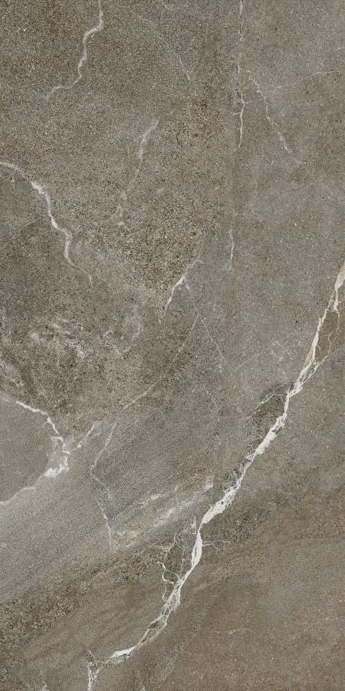 6493-0146 Гроза бежево-коричневый 60х120 Lasselsberger фото 2