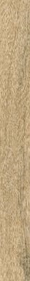 O-GWN-GGU014 Grandwood Natural бежевый 19.8x179.8 Meissen